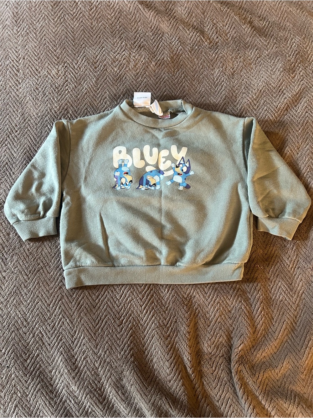 Zara Kids Gray Bluey Crewneck Sweatshirt